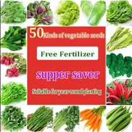 【 SG STOCK FREE FERTILIZER】6000pcsVegetable Seeds fruit organic seeds/leafy greens planting Balcony Garden Herbs蔬菜水果种子