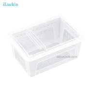 Reptile Small Snake Feeding Box Lizard Tarantula Living Cage Hatching Container for Lizard Gecko Pet