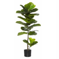Artificial Fiddle Fig 110cm