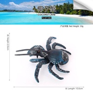 Mô Hình Con Tôm Hùm Biển Mô Phỏng Giáo Dục Sớm Đồ Chơi Giáo Dục Cho Trẻ Em Mô Hình Động Vật Biển Tôm