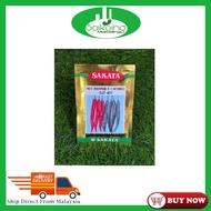 461 Sakata Hot Pepper F1 Hybrid Benih Cili Kulai Irrigation Fertigasi SJ2 10G