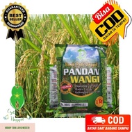 [Terlaris] Benih Bibit Padi Pandan Wangi Asli Super Berkualitas