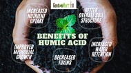 Serbuk Asid Humic/Humic Acid Powder NOT SOLUBLE/Fertilizer/Baja Organik