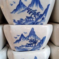 Sancang bonsai pot size mame