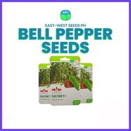 ┛ ➻ ♞ Bell pepper Seeds Sultan F1  100 seeds