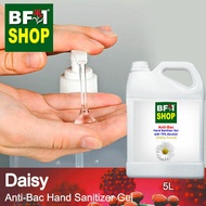 Anti Bacterial Hand Sanitizer Gel with 75% Alcohol  - Daisy Anti Bacterial Hand Sanitizer Gel - 5L