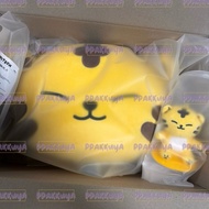 [PEL] MINITEEN HOSHI TAMTAM