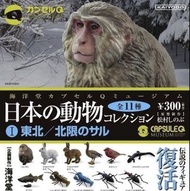 KAIYODO 海洋堂 日本の動物コレクション1 東北／北限のサル Capsule Q Museum 日本之動物 第1彈 (全套11隻) 2012年