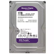 WD Western Digital HDD Purple Disk 1TB 2TB 4TB 6TB 8TB 10TB Keselamatan Pengawasan Video Cakera Kera