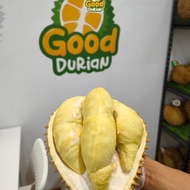 PTR Durian Montong Palu - Durian Monthong Parigi - Durian Fresh Utuh