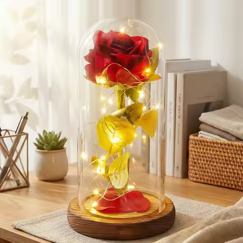 Premium Gifts for Mom from Daughter, Son, Kids - Rose with 6hr Timer - Beauty and The Beast Rose Dec