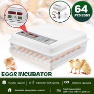 Mesin Inkubator Penetas Telur 80W 64 Untuk Peternakan Burung Puyuh
