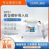 Microneedle Acne Scar Repair Facial Care 6-in-1 Introducer Beauty Device Acne Scar Hot and Cold Hamm