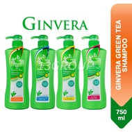 Ginvera Green Tea Shampoo Normal Dry Oil Hair Scalp Protection, 750g