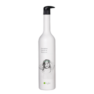 O'right 歐萊德 蒲公英兒童溫和洗髮精1000mL