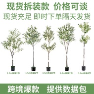 Simulation Olive Tree Cross-Border Disassembly Assembly Olive Tree Simulation Potted Plant Indoor La