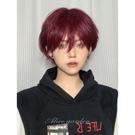 alice garden | Mens Short Hair Wig GK Puffed Full Head Wig