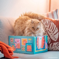 [GIFT SET] Pawsona Daily Nosh Functional Cat Treats Combo Set