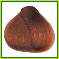 ◆ ๑ ┘ BREMOD HAIR COLOR LIGHT COPPER BLOND 8.43