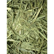 Timothy hay snack hamster gerbil rabbit guinea pig