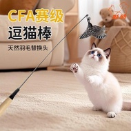 🔥Love Pet Carefully Selected🔥CFA Seasonal Cat Teasing Stick Long Rod Long Rod Durable Durable Bite-R