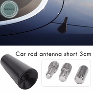 bigbigstore Antenna 3Cm Roof Antenna Short Pole Antenna Car Pole Antenna Short Adapter Radio Foot sg