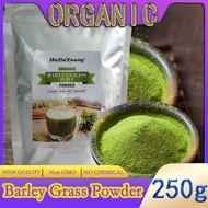 Barley grass official store Organic Barley Grass Powder original 250g body detoxification, moistening intestines