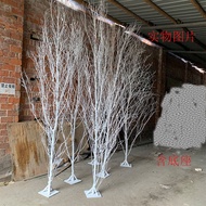 Trunk Branch Birch Branch Simulation Birch Branch Dead Branch White Tree Hotel Window Decoration Mod