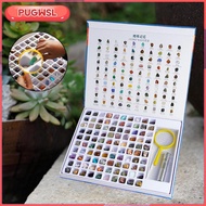 [pugwsl] 100Pcs/Box Geology  for  Sheet  Gems Collection Geology Educational Kit for Classroom Educa