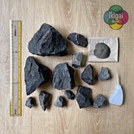 Set S Aquarium Decoration Stone Water Wooden Cabinet Landscaping Tray Real With Glue And Powder Comb