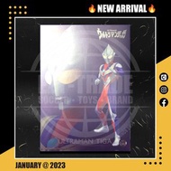 <門市同步發售> 23年1月新貨！全新未開封 Alphamax 絕對究體 Action Figure Series 奧特曼 咸蛋超人 鹹蛋超人 超人迪加 Ultraman Tiga 