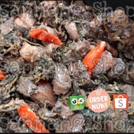 Ready Gan [Non Halal] Pa'Piong Babi Khas Toraja Ready Gan