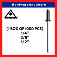 ACE Bronze Blind Rivet / Open End Rivet / Pop Rivet - Dome Head with Steel Mandrel 1/8'' [1 Box of 1