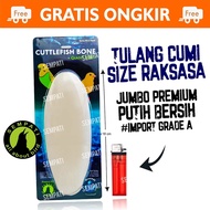 Cuttlefish BONE CUTTLEFISH BONE Squid Shell SUPER JUMBO PREMIUM Calcium Iodine MINERAL Salt