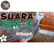 BURUNG TEKUKUR KUK 3 SULTAN SUPER ISTIMEWA MEWAH LANGKA