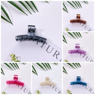 HAIR CLIPS / MINI CLIPS 1384F1