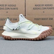 Nike ACG Mountain Fly Low GTX SE DD2861-001