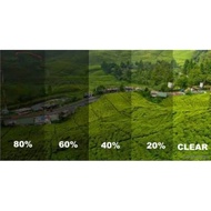 20 Percent Window Film Special for Shops or Cafes