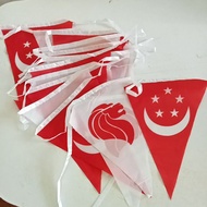 30 feet Triangular Singapore pennants