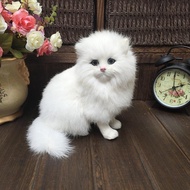 Realistic Cute Simulation Stuffed Plush White Persian Cats Toys Cat Dolls Table Decor Kids Boys Girl