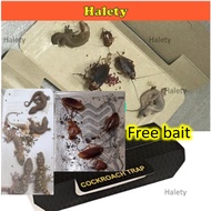 1 box Insects Cockroach trap / gecko poison / Lizard trap Glue Trap Sticky Trap Killer insects trap 