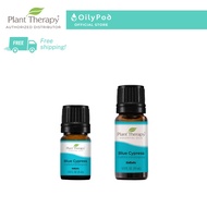 Plant Therapy Blue Cypress Essential Oil