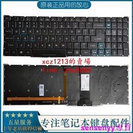 【現貨】宏碁 acer 掠奪者新戰斧300 PH315-52 PH315-53筆記本鍵盤 帶背光
