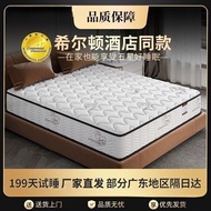 Sponge Spring Hotel Simmons Hilton Mattress Ridge Protection 20CM Latex Coconut Palm Healthy Five-St