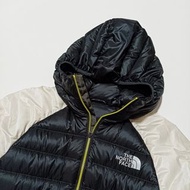 The North Face summit series 700 pro 防風 防潑水 羽絨 外套