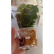 Chicken curry seasoning Chicken curry powder/