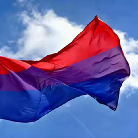 Bisexual Pride Flag, Durable Polyester LGBTQ+ Bisexual Identity Banner for Decor, Outdoor Indoor Han