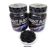 Maggot Black Bos 40 gram (Maggot Black Booster + Multivitamin)(Sesuai channa asiatica, andrao, maru)