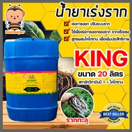 น้ำยาเร่งราก คิงสตาร์ท วิตามิน บี-1 ผสมไคโตซาน มี 4 ขนาดให้เลือก สารกระตุ้นราก น้ำยาบี1 B1 เร่งรากบี