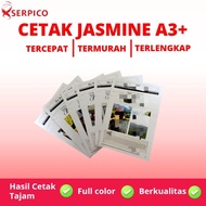 JASMINE PRINT A3 | PRINT JASMINE A3 | PRINT A3 ICT CARDS | PRINT A3 ICT CARDS | A3 LINEN PRINT | PRI